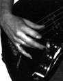 photo of the bass